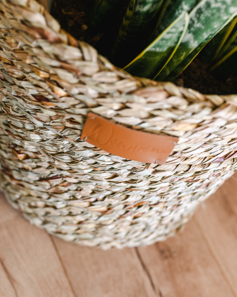 Ikhwani Planter - Image 3