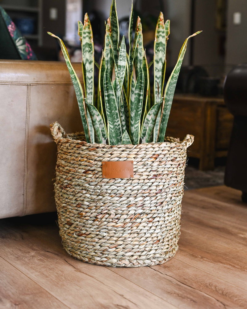 Ikhwani Planter - Image 5