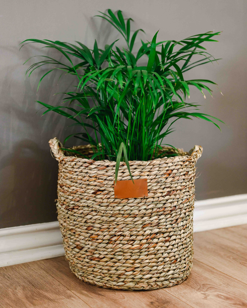 Ikhwani Planter - Image 4