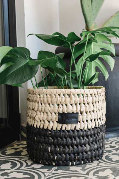 NightFall Basket