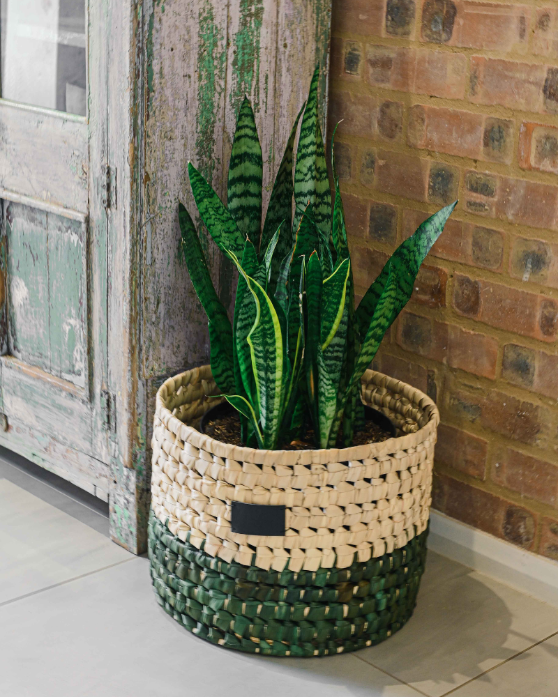 Mossline Basket