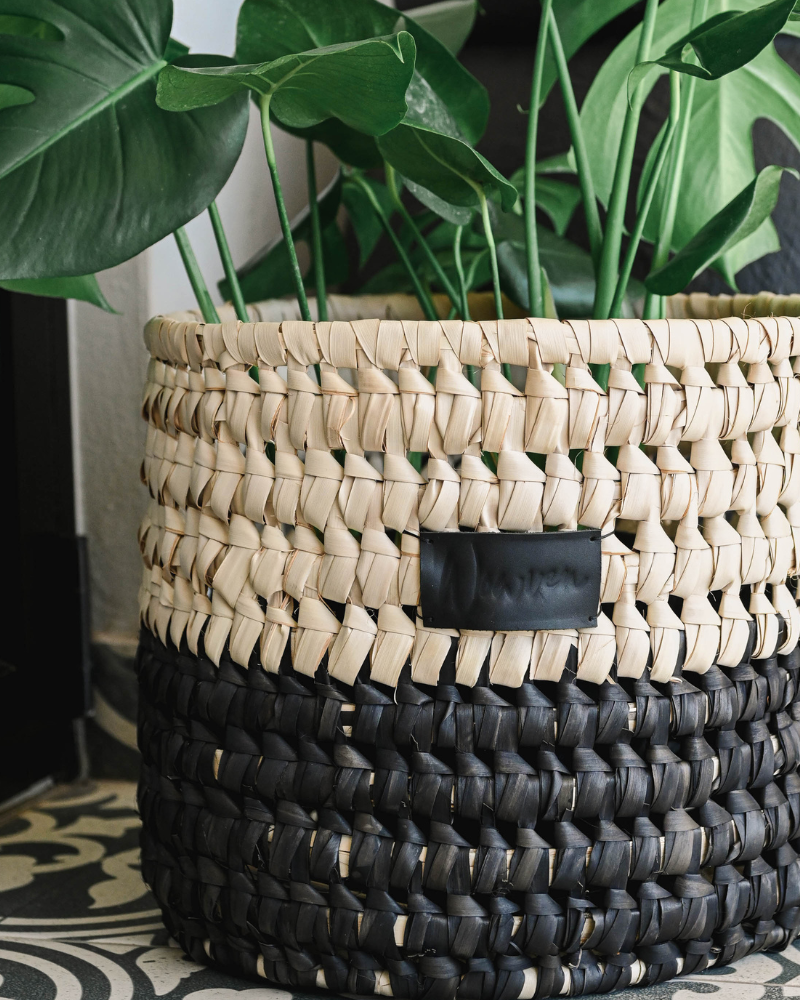 NightFall Basket - Image 2
